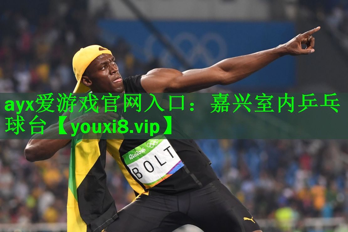 嘉兴室内乒乓球台