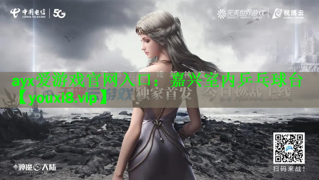 嘉兴室内乒乓球台