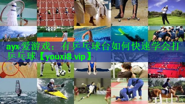 有乒乓球台如何快速学会打乒乓球