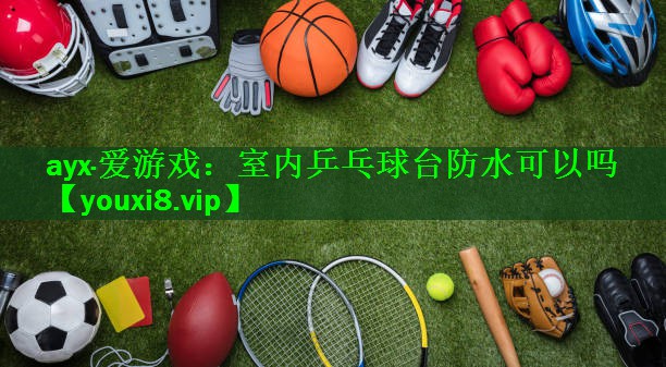 室内乒乓球台防水可以吗
